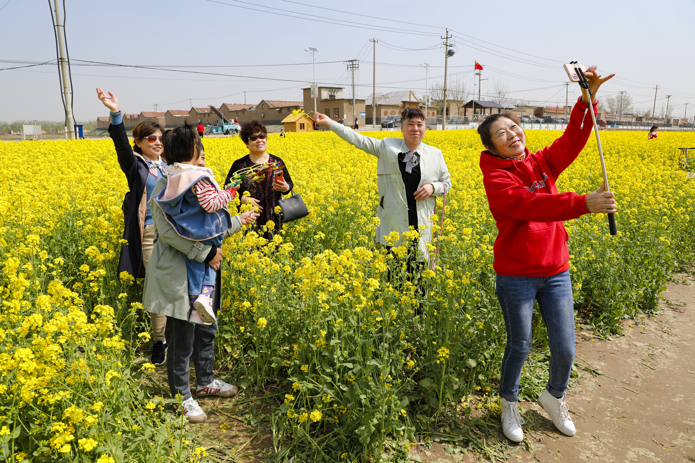 濟南市槐蔭區吳家堡街道辦事處席家莊村的千畝油菜花迎來盛開時節。金黃的油菜花海隨風搖曳，宛若童話世界一般，吸引市民遊客紛紛前來遊玩。(徐舟)