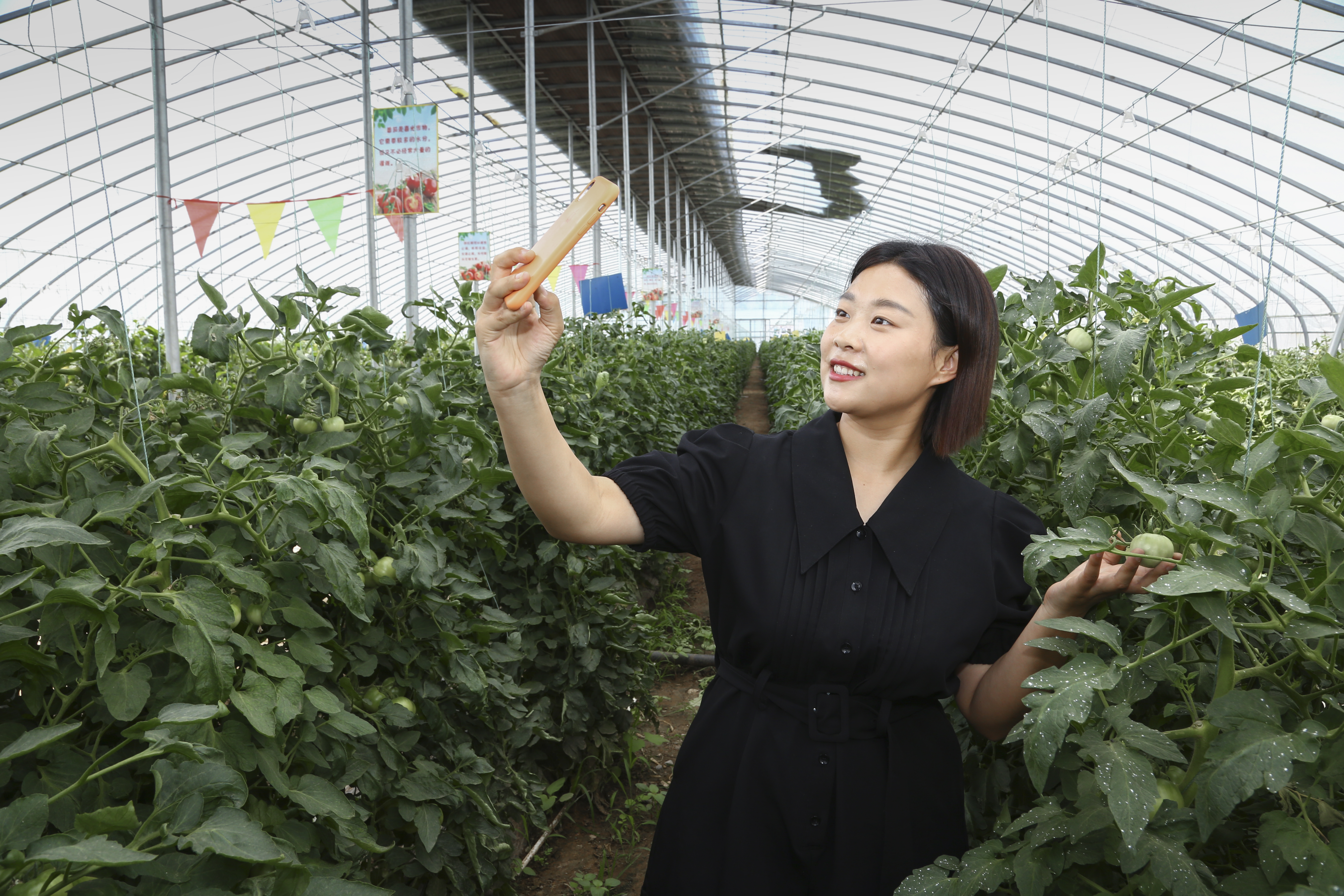 濟南市章丘區三澗溪村，村民劉亞楠正在蔬菜大棚內直播帶貨。劉亞楠畢業于中國傳媒大學南廣學院，她利用專業所長，“試水”直播帶貨。(徐舟)