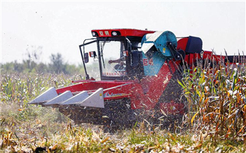 濱州市516台履帶式玉米收穫機濕地作業顯身手